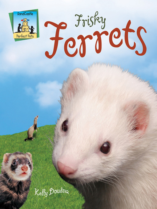 Cover image for Frisky Ferrets